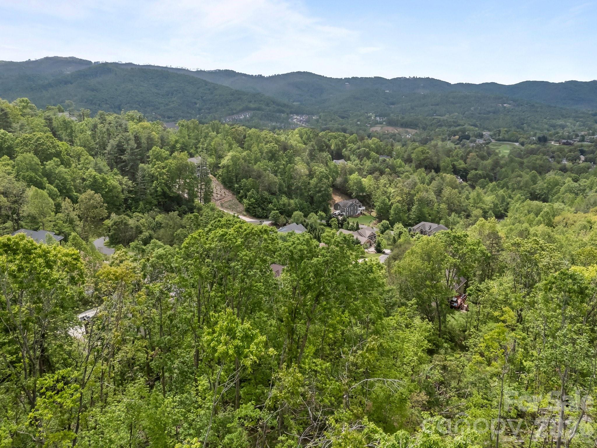 46 Hawtree Court Weaverville NC 28787