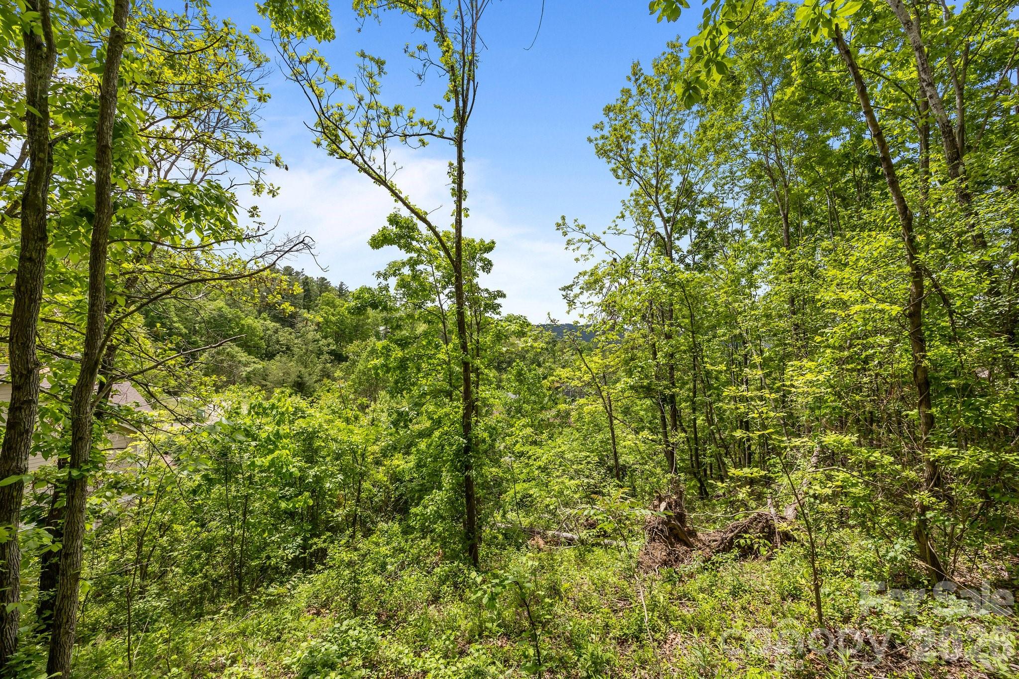 46 Hawtree Court Weaverville NC 28787