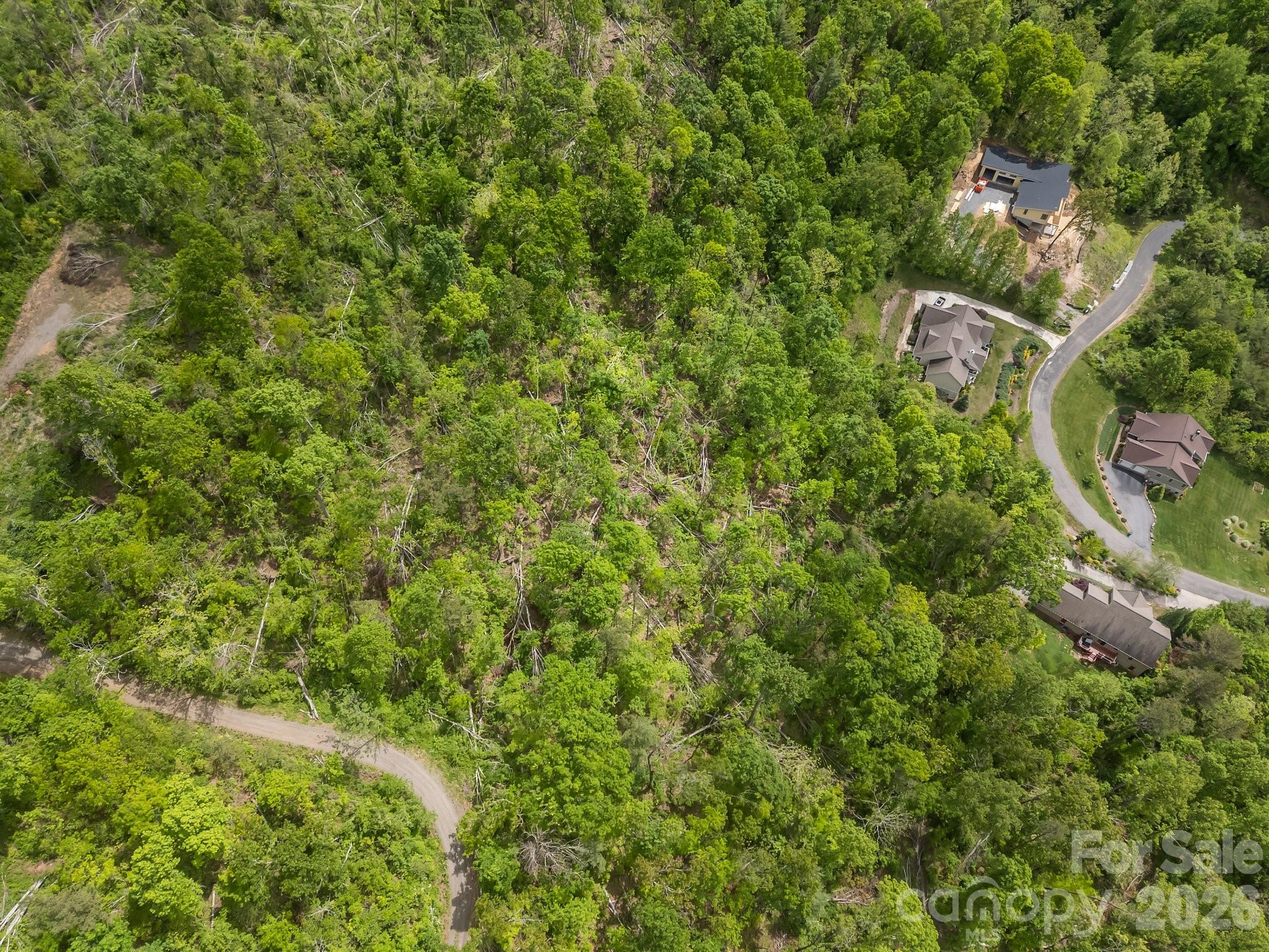 46 Hawtree Court Weaverville NC 28787