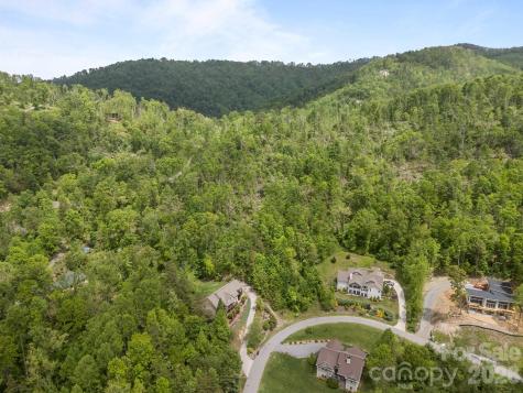 46 Hawtree Court Weaverville NC 28787