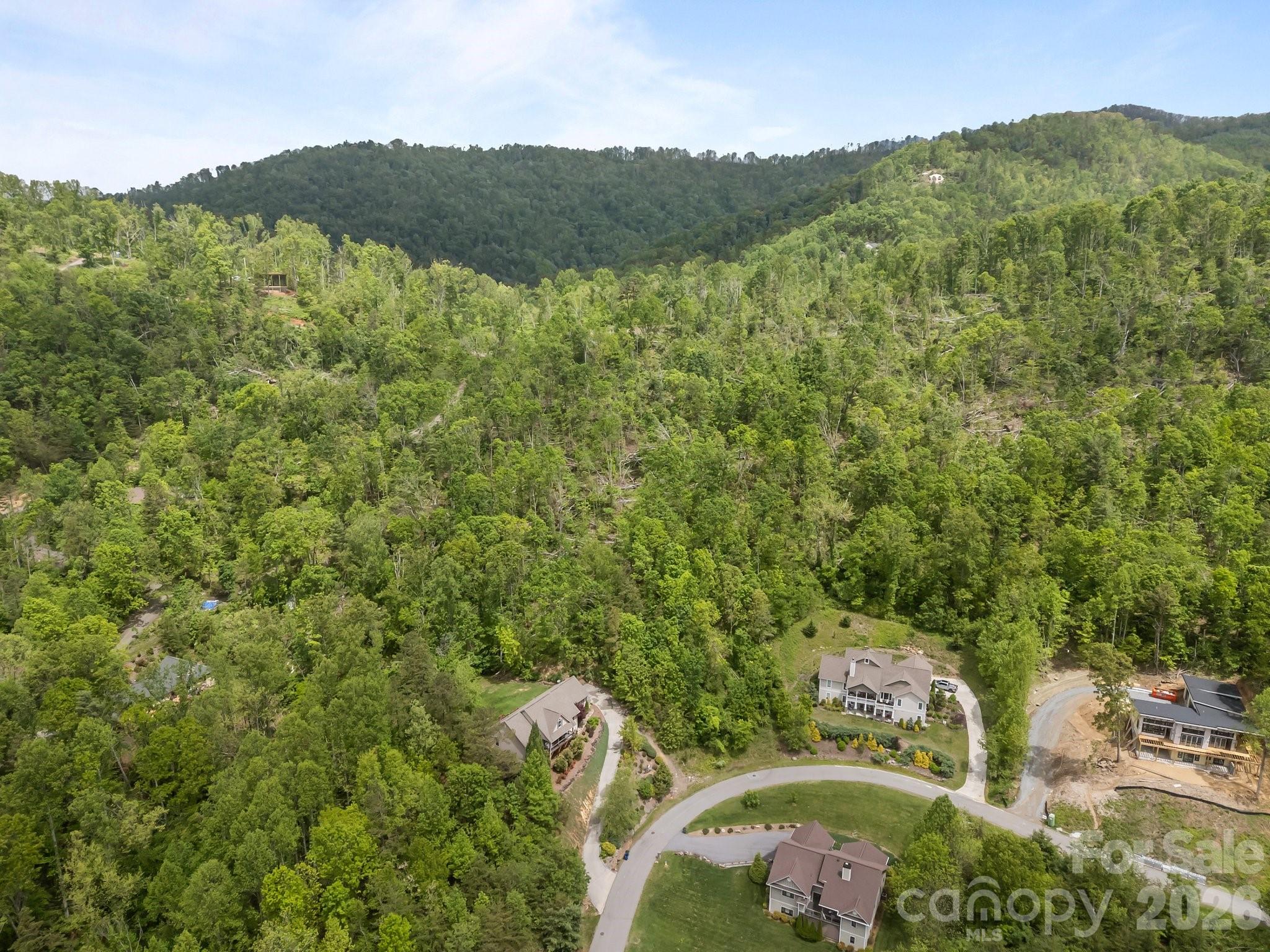 46 Hawtree Court Weaverville NC 28787