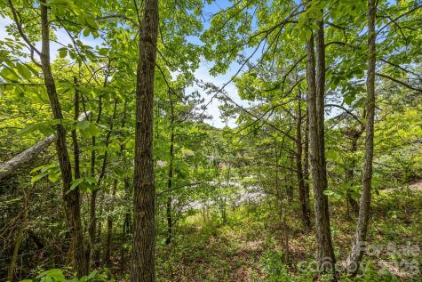 46 Hawtree Court Weaverville NC 28787