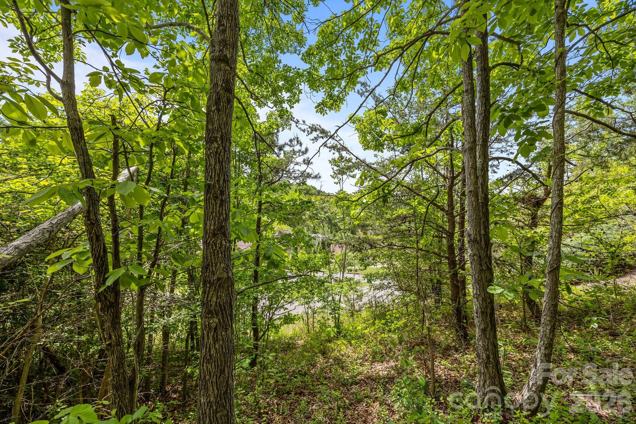 46 Hawtree Court Weaverville NC 28787
