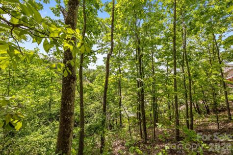 46 Hawtree Court Weaverville NC 28787