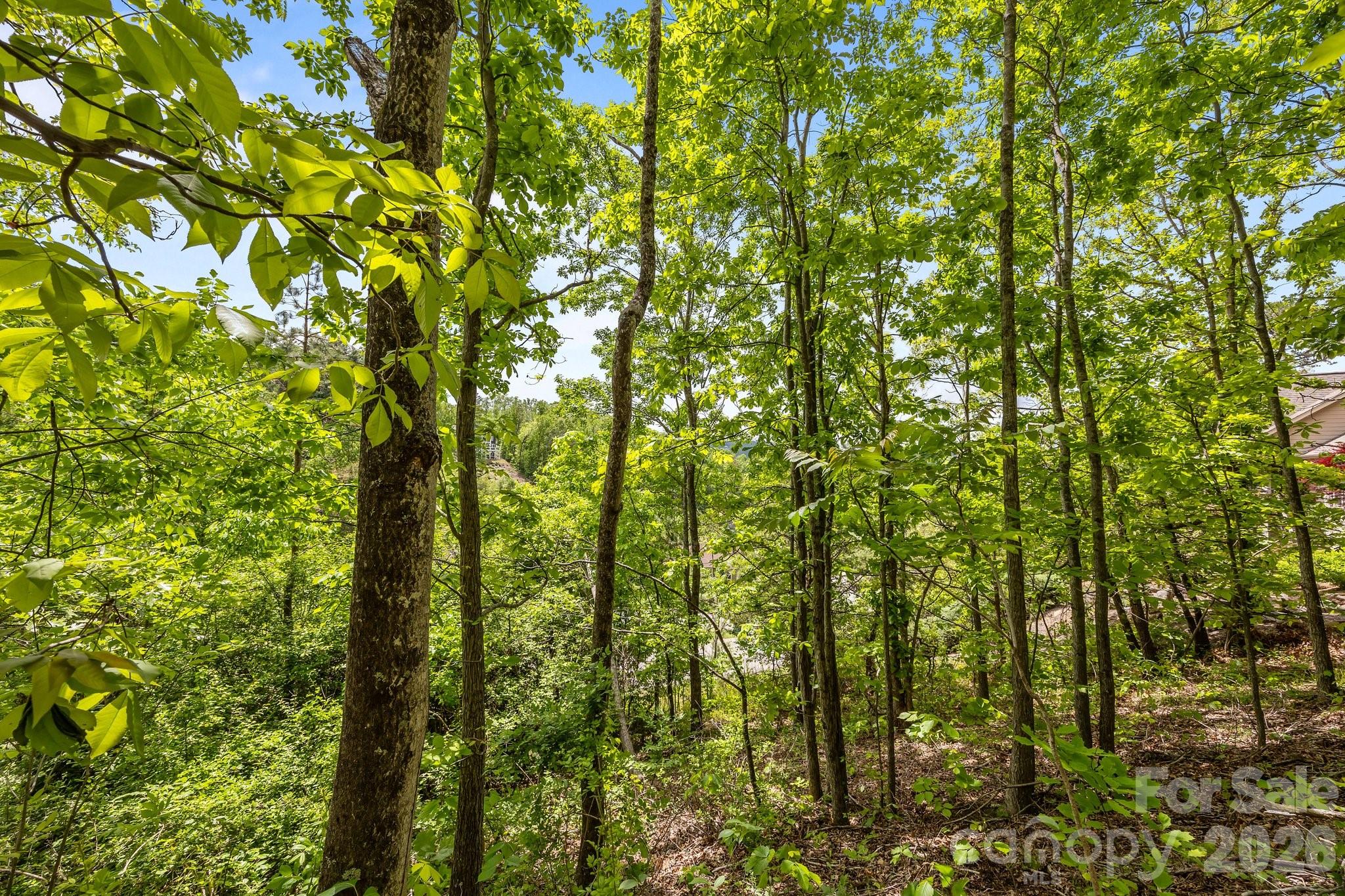 46 Hawtree Court Weaverville NC 28787