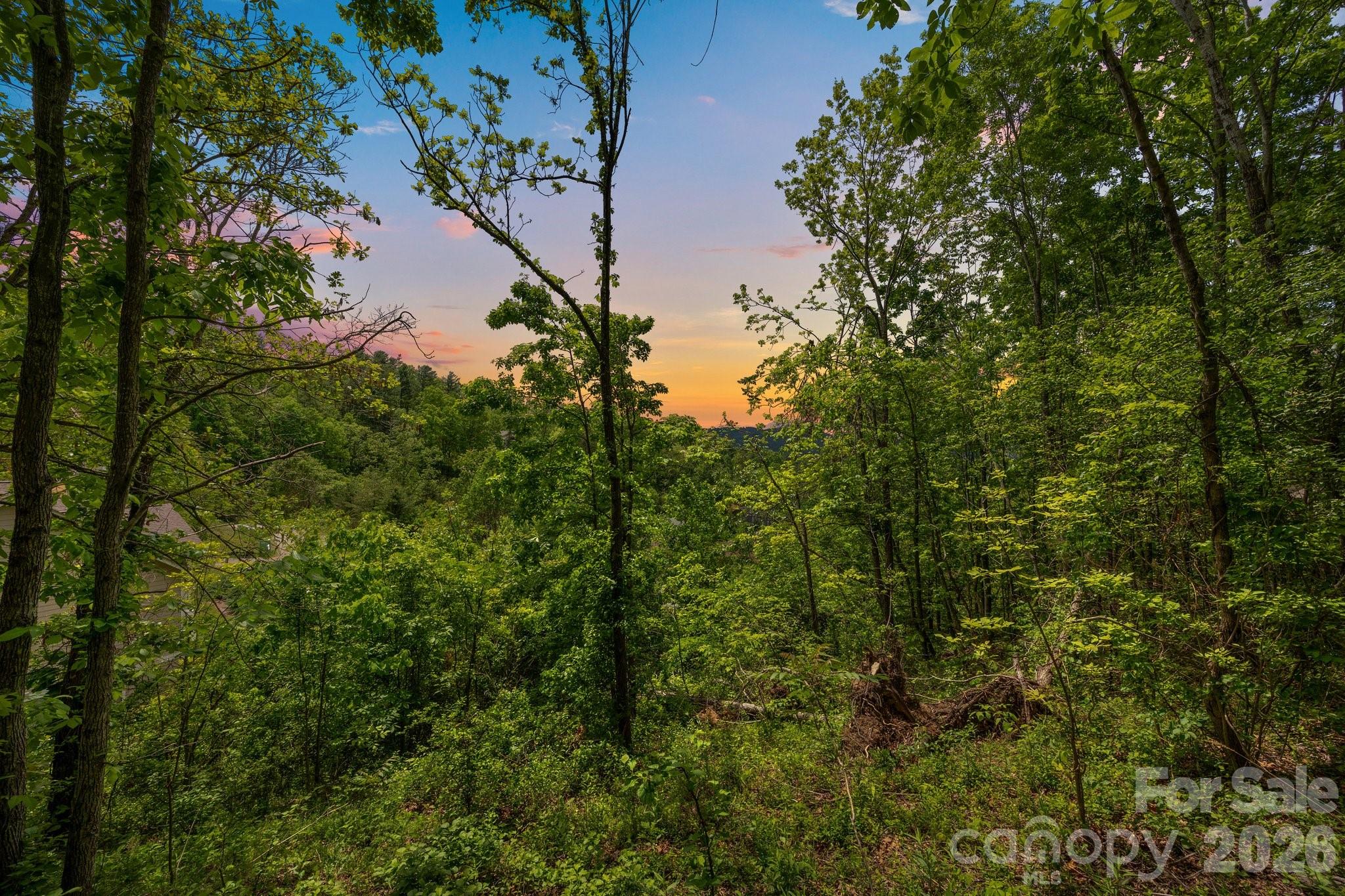 46 Hawtree Court Weaverville NC 28787