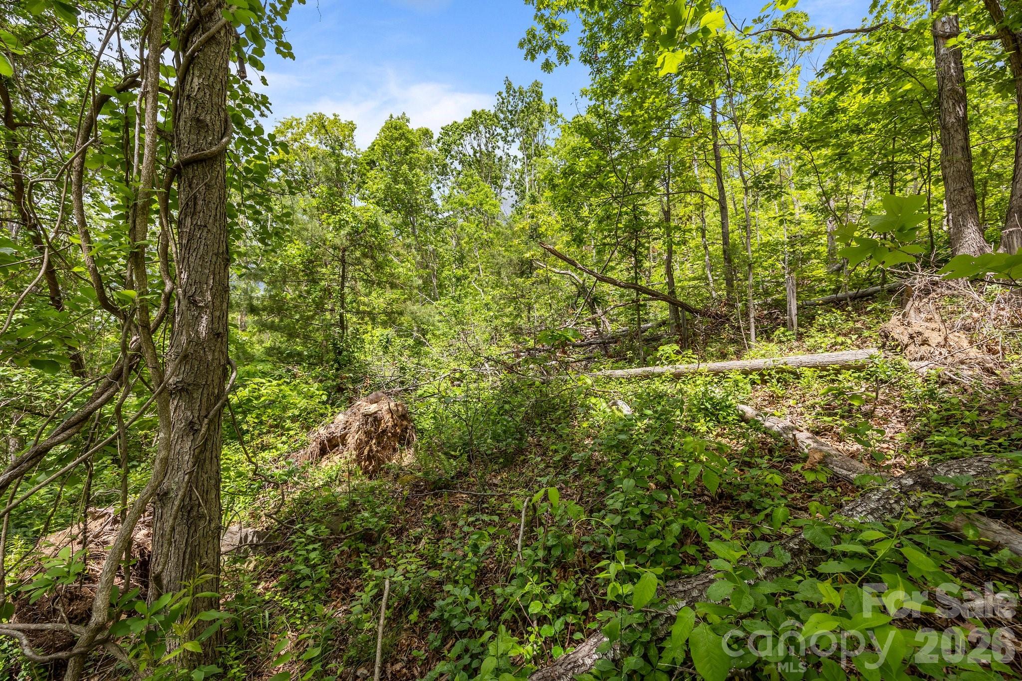 46 Hawtree Court Weaverville NC 28787