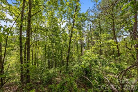 46 Hawtree Court Weaverville NC 28787
