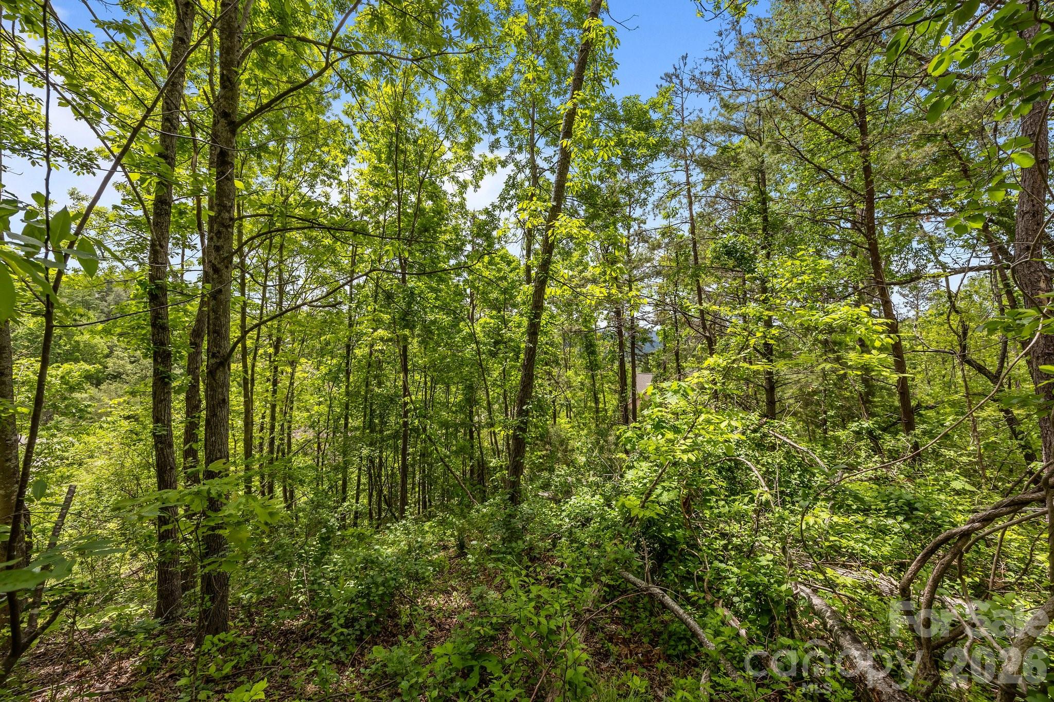 46 Hawtree Court Weaverville NC 28787