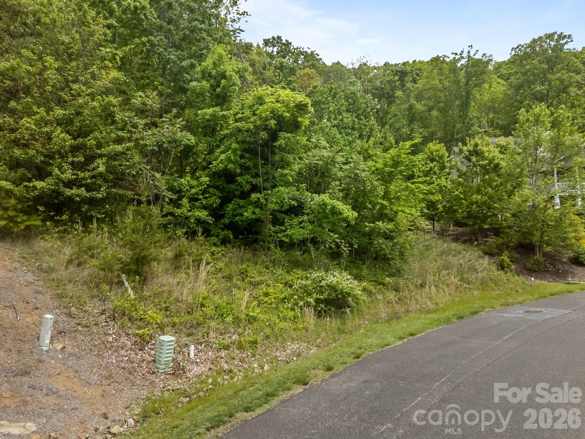 46 Hawtree Court Weaverville NC 28787