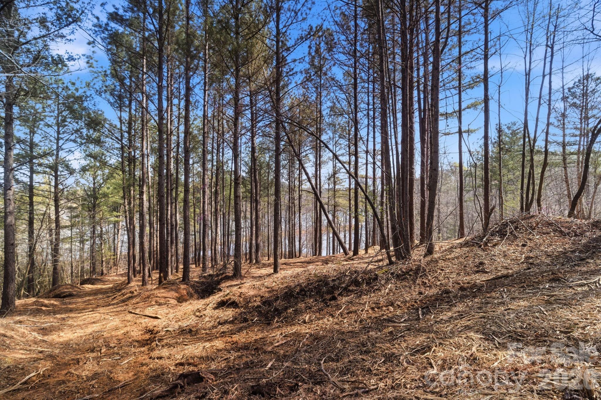 199 Table Rock Trace NW Valdese NC 28690