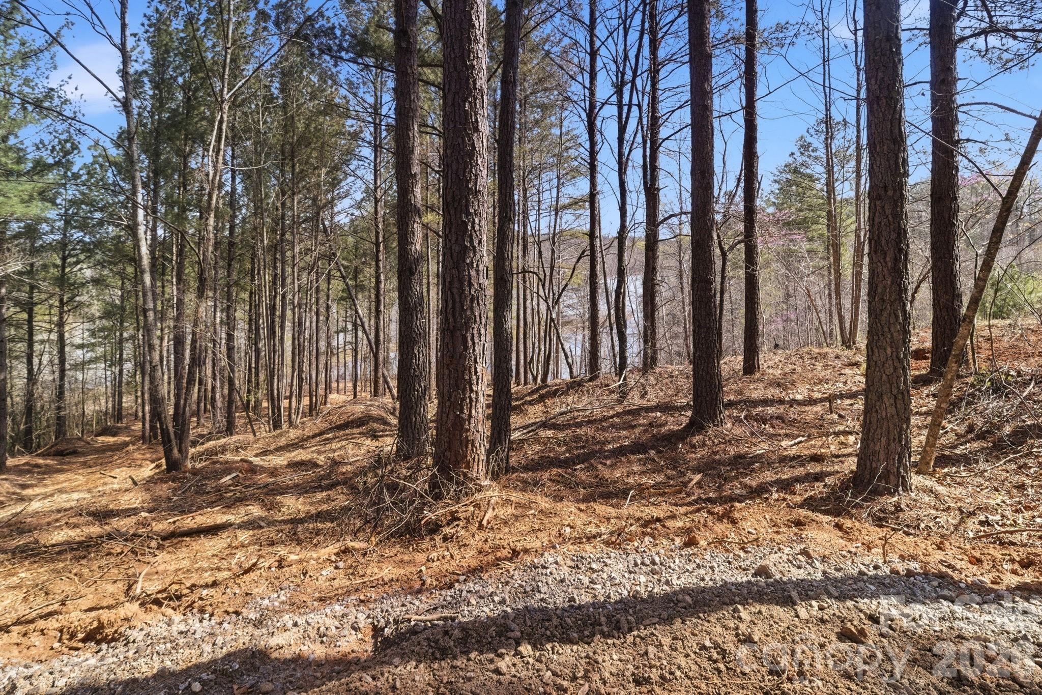 199 Table Rock Trace NW Valdese NC 28690