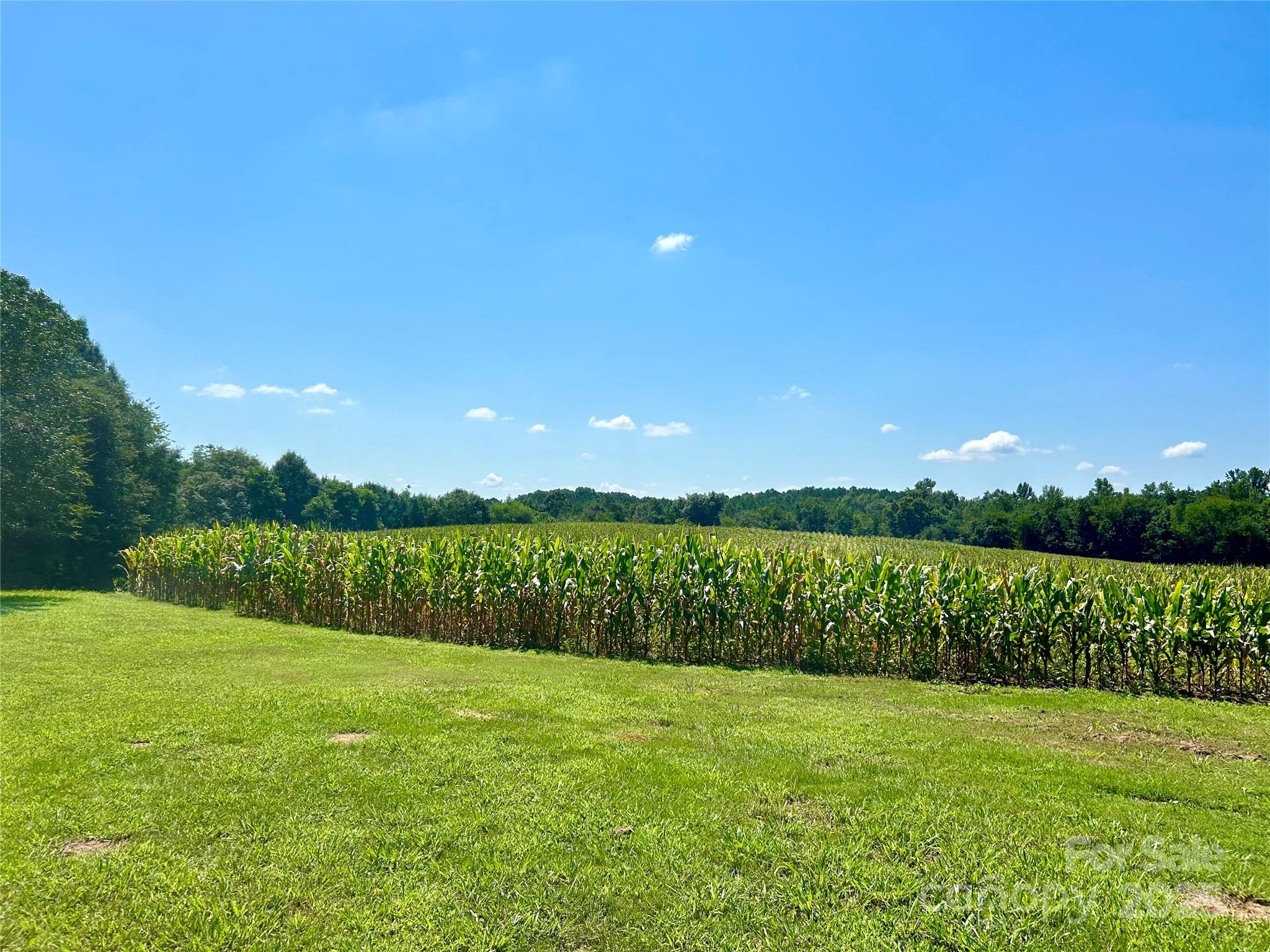 000 Riverview Road Norwood NC 28128
