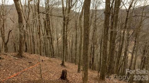 0000 Devils Knob Road Mars Hill NC 28754