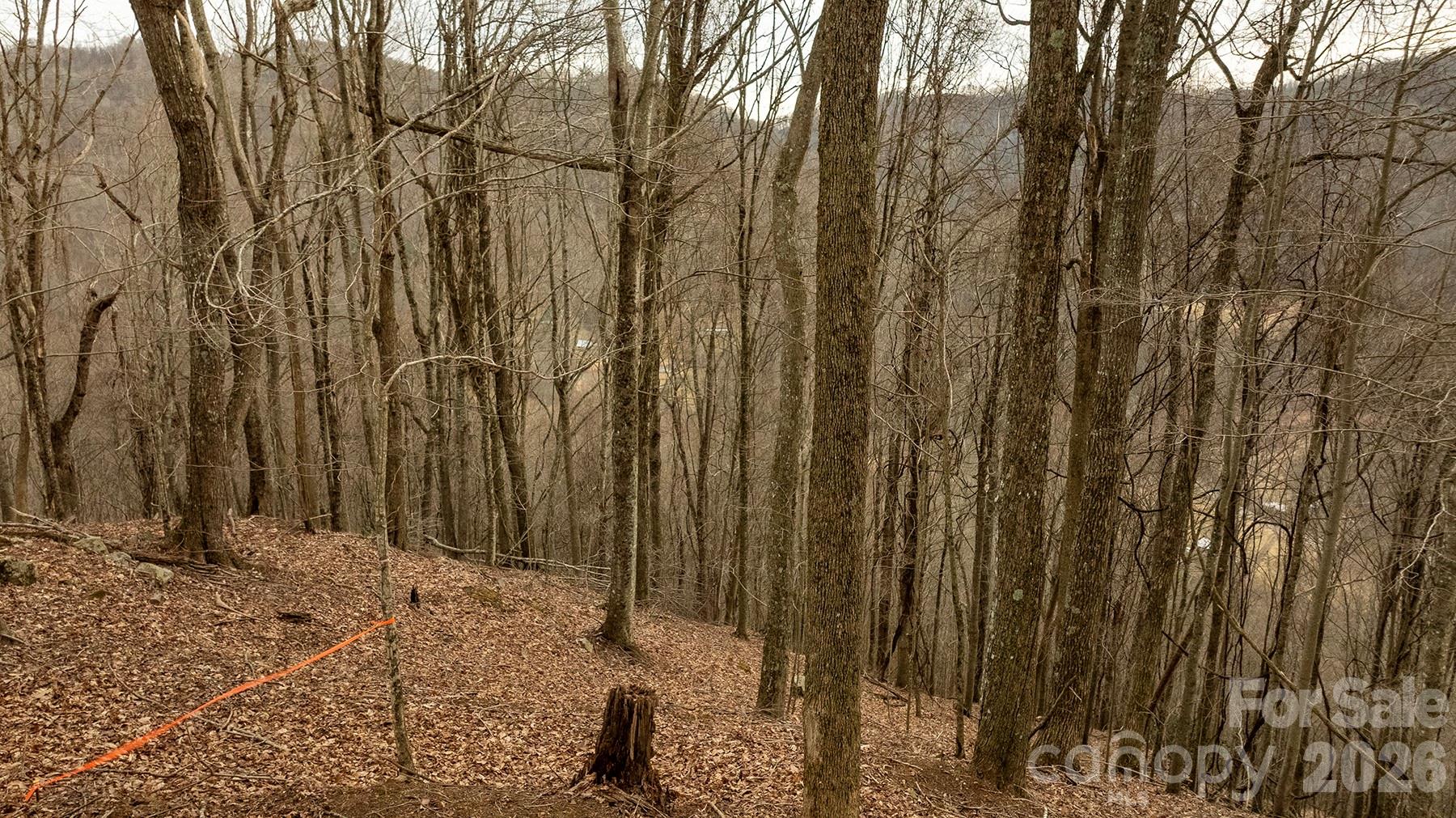 0000 Devils Knob Road Mars Hill NC 28754