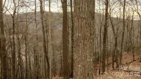 0000 Devils Knob Road Mars Hill NC 28754