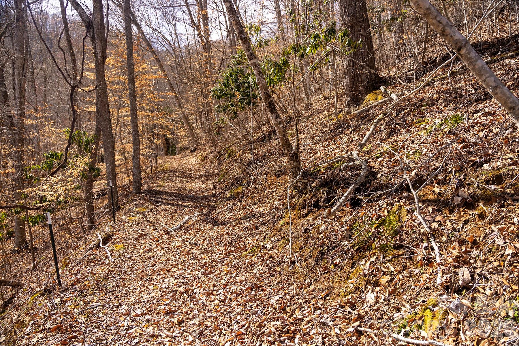 0000 Devils Knob Road Mars Hill NC 28754