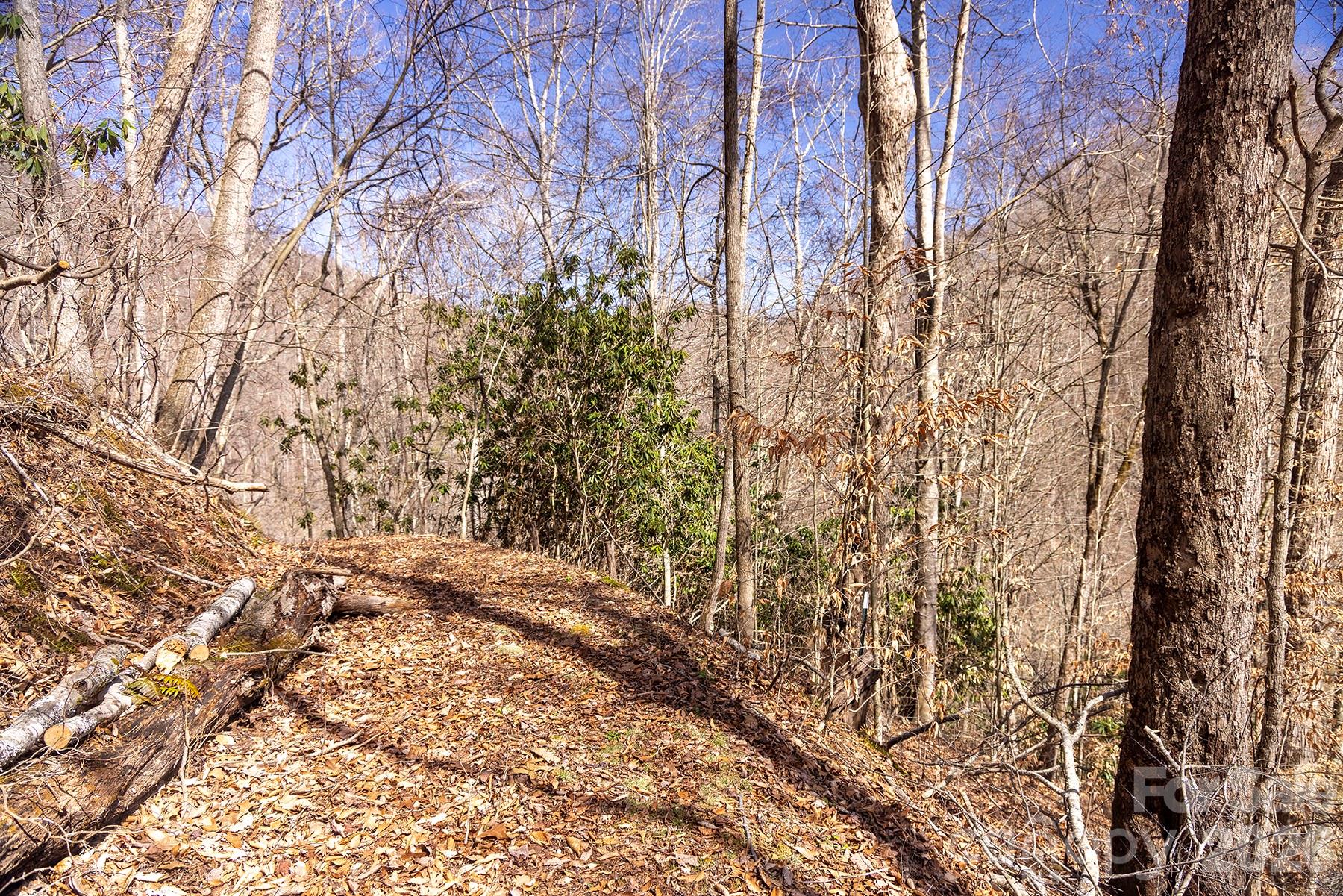 0000 Devils Knob Road Mars Hill NC 28754