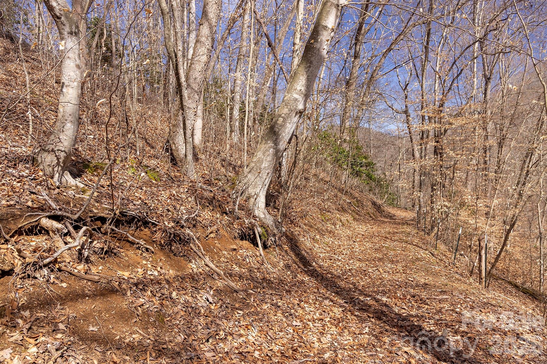 0000 Devils Knob Road Mars Hill NC 28754