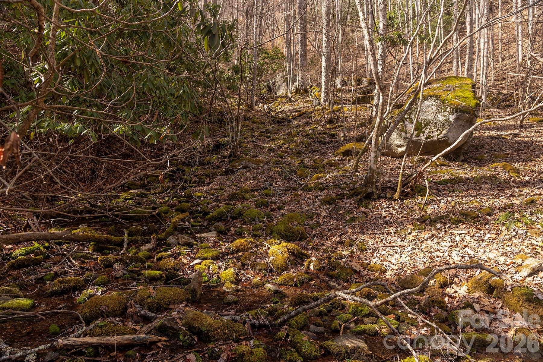 0000 Devils Knob Road Mars Hill NC 28754