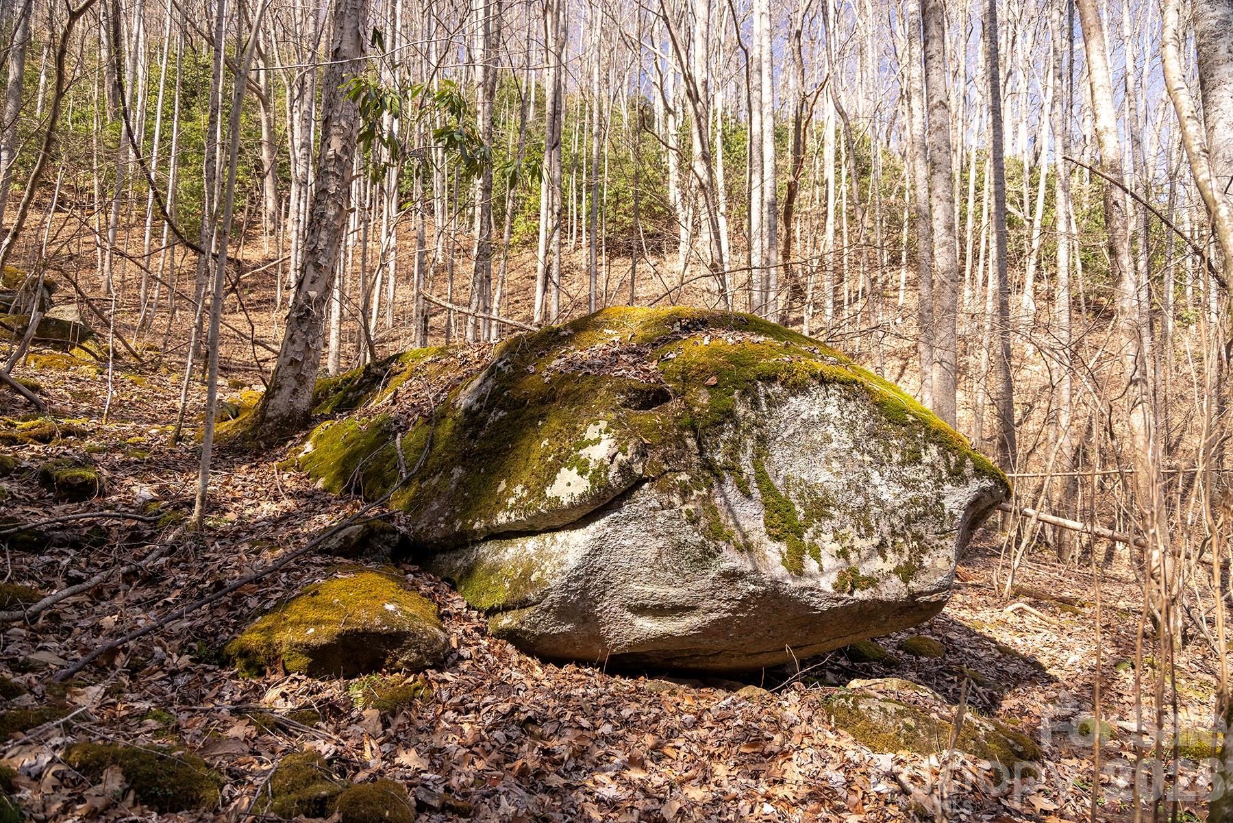 0000 Devils Knob Road Mars Hill NC 28754