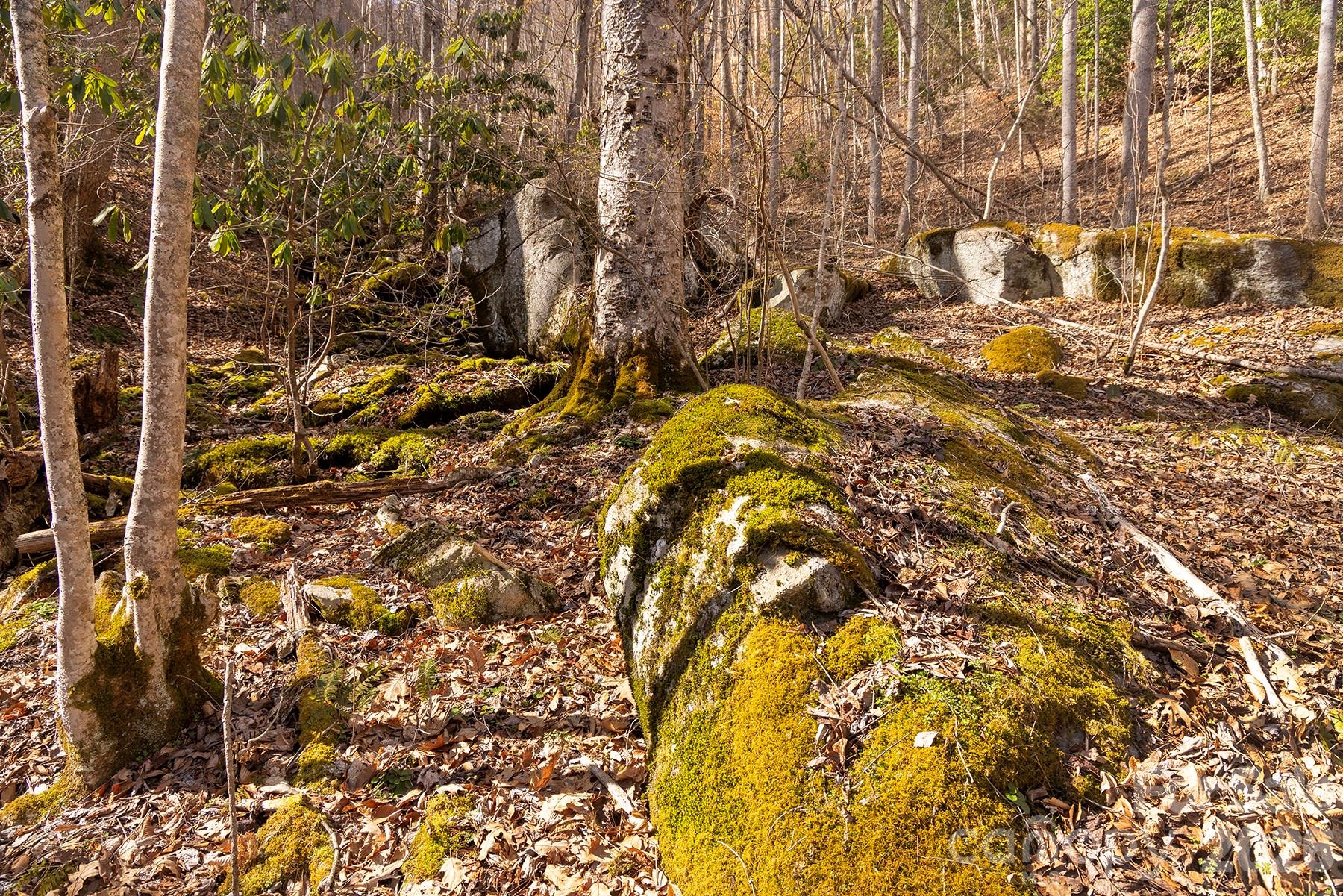 0000 Devils Knob Road Mars Hill NC 28754