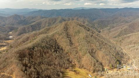 0000 Devils Knob Road Mars Hill NC 28754