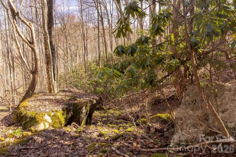0000 Devils Knob Road Mars Hill NC 28754