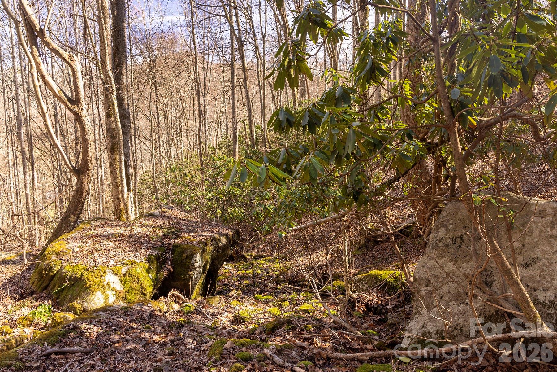 0000 Devils Knob Road Mars Hill NC 28754