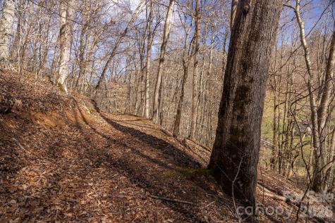 0000 Devils Knob Road Mars Hill NC 28754