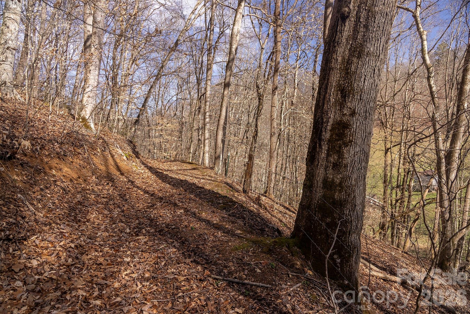 0000 Devils Knob Road Mars Hill NC 28754