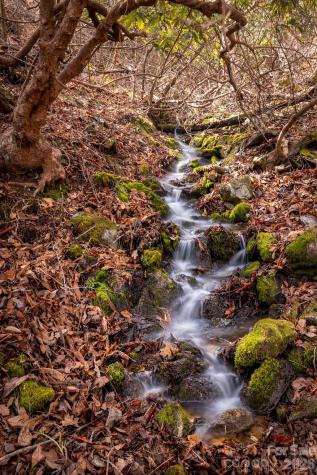 0000 Devils Knob Road Mars Hill NC 28754