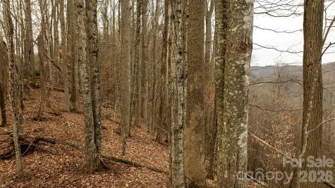 0000 Devils Knob Road Mars Hill NC 28754