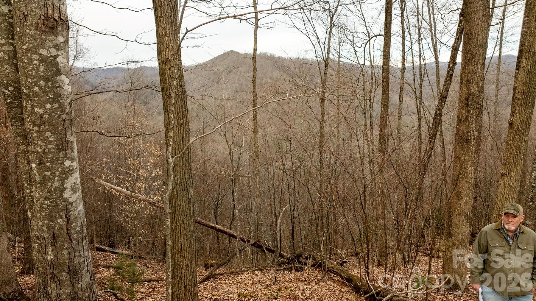 0000 Devils Knob Road Mars Hill NC 28754