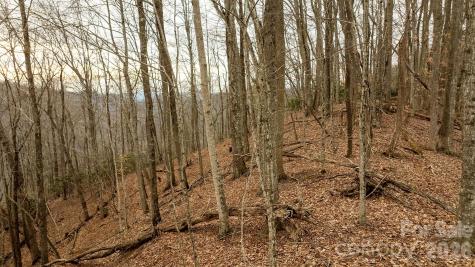 0000 Devils Knob Road Mars Hill NC 28754