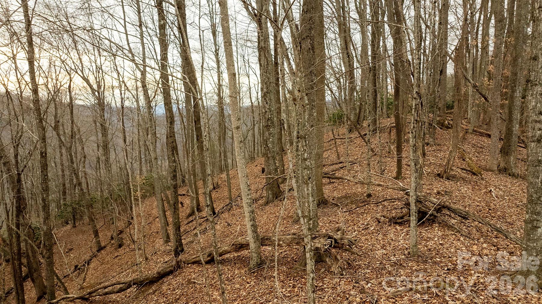0000 Devils Knob Road Mars Hill NC 28754