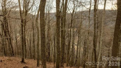 0000 Devils Knob Road Mars Hill NC 28754