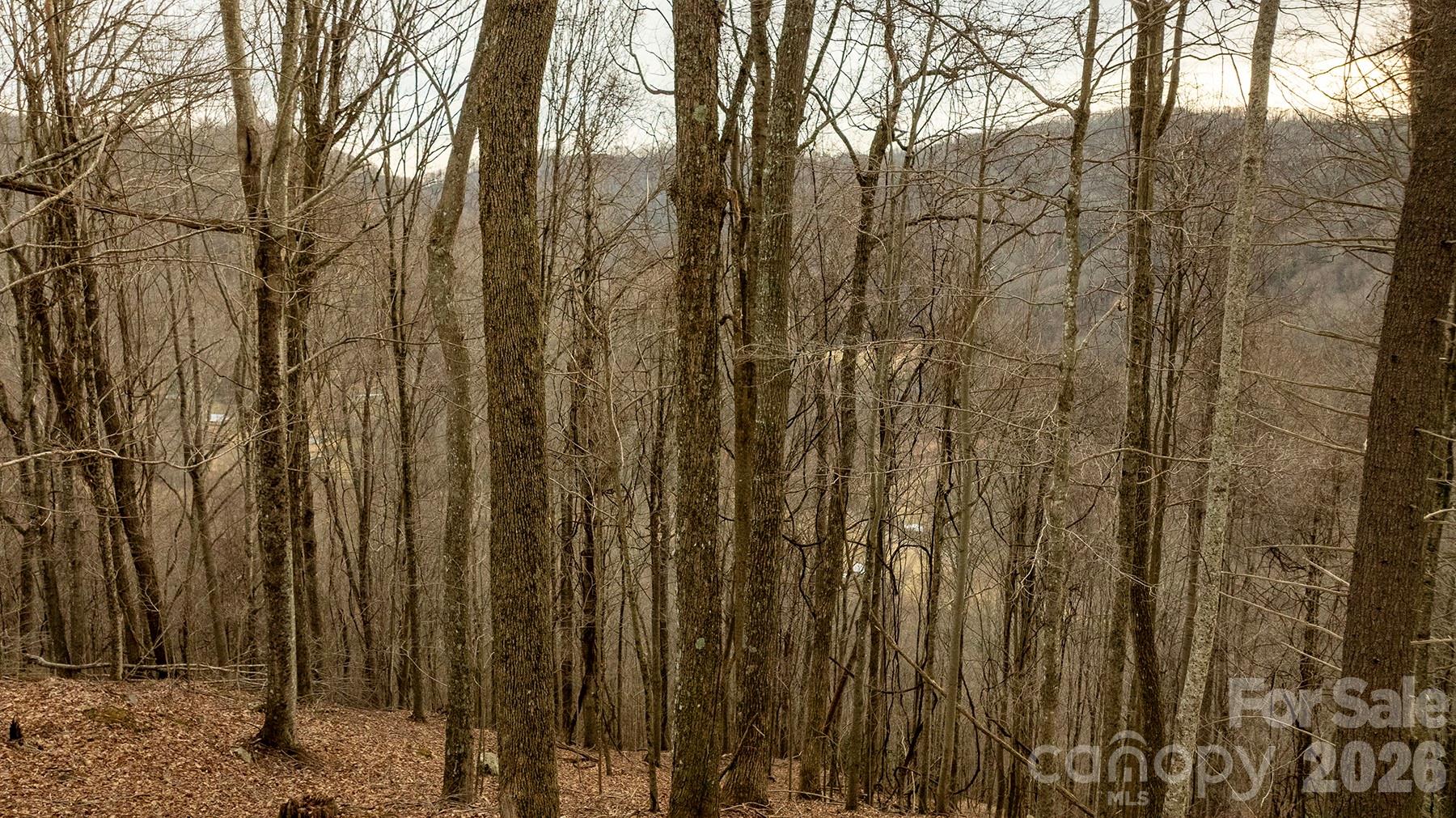 0000 Devils Knob Road Mars Hill NC 28754