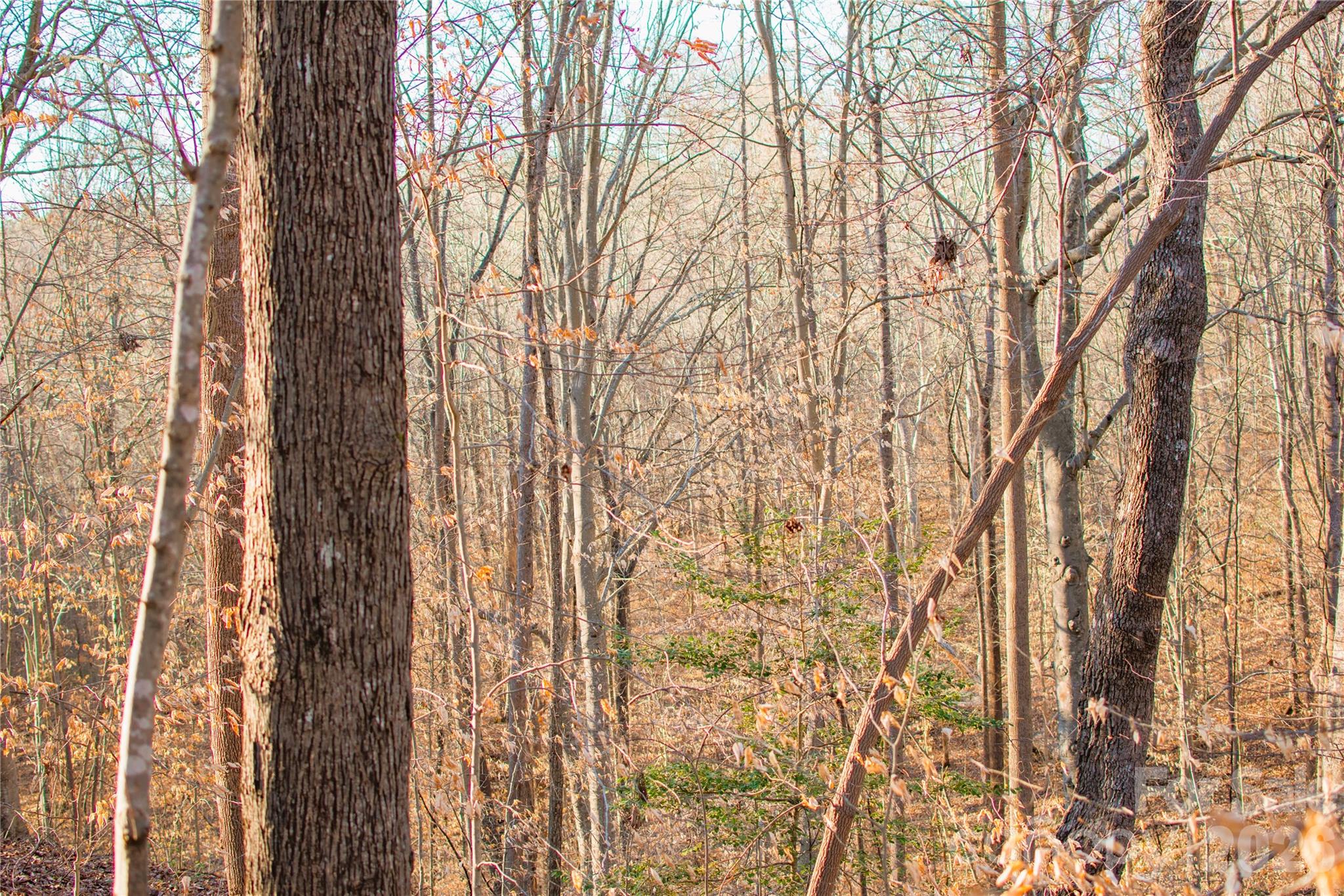0 Windbluff Court Statesville NC 28677