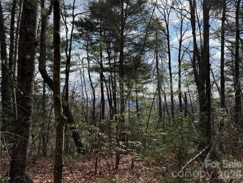Tbd Staghorn Road Purlear NC 28665
