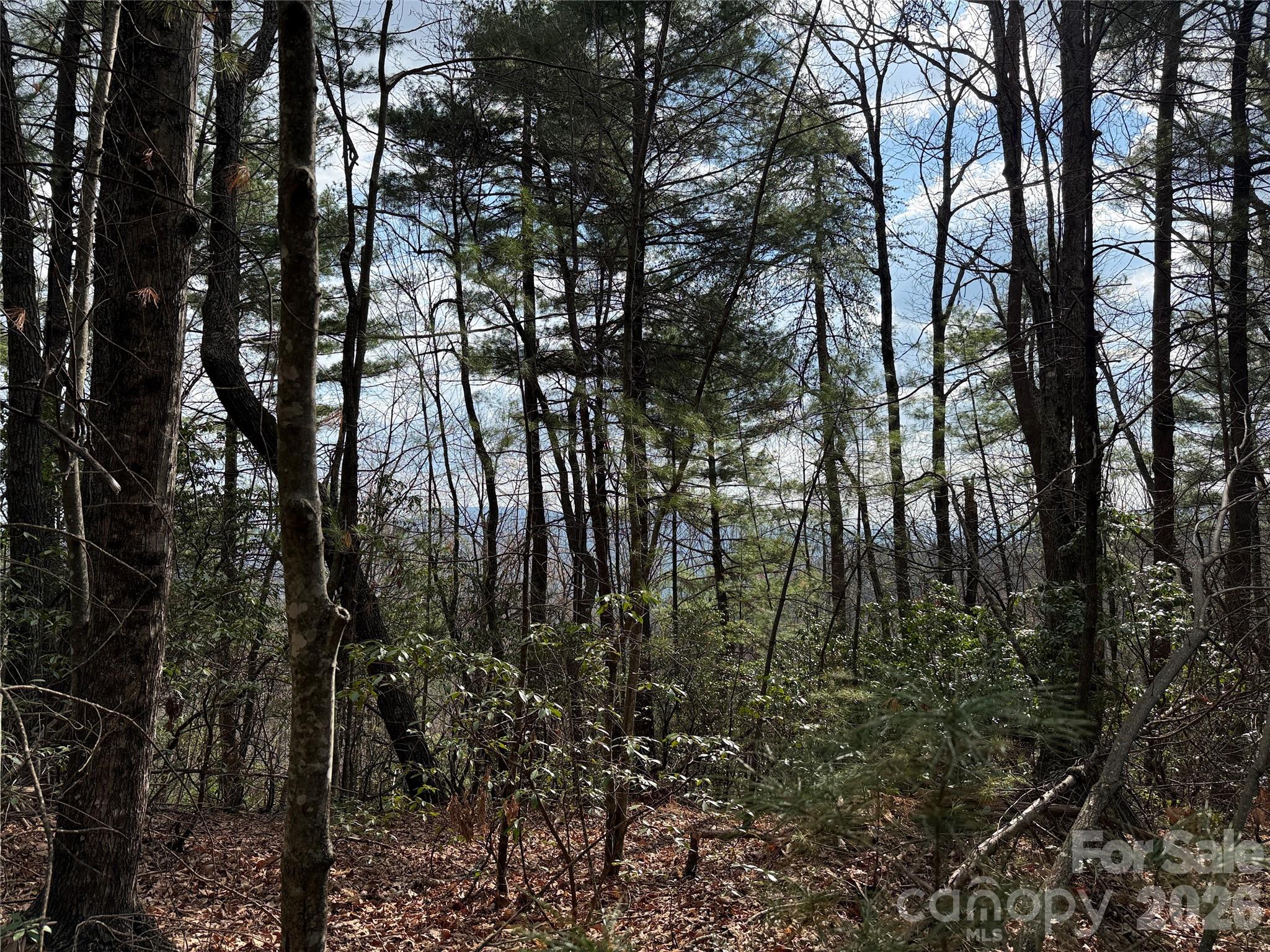Tbd Staghorn Road Purlear NC 28665