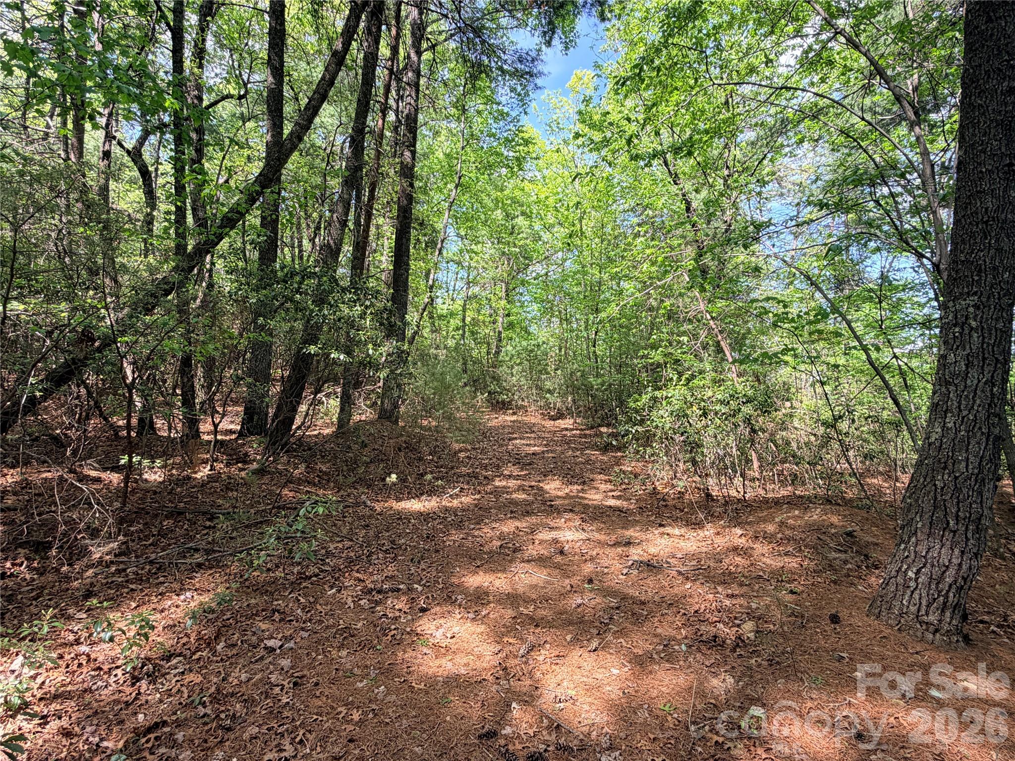 Tbd Staghorn Road Purlear NC 28665