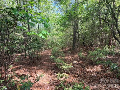 Tbd Staghorn Road Purlear NC 28665