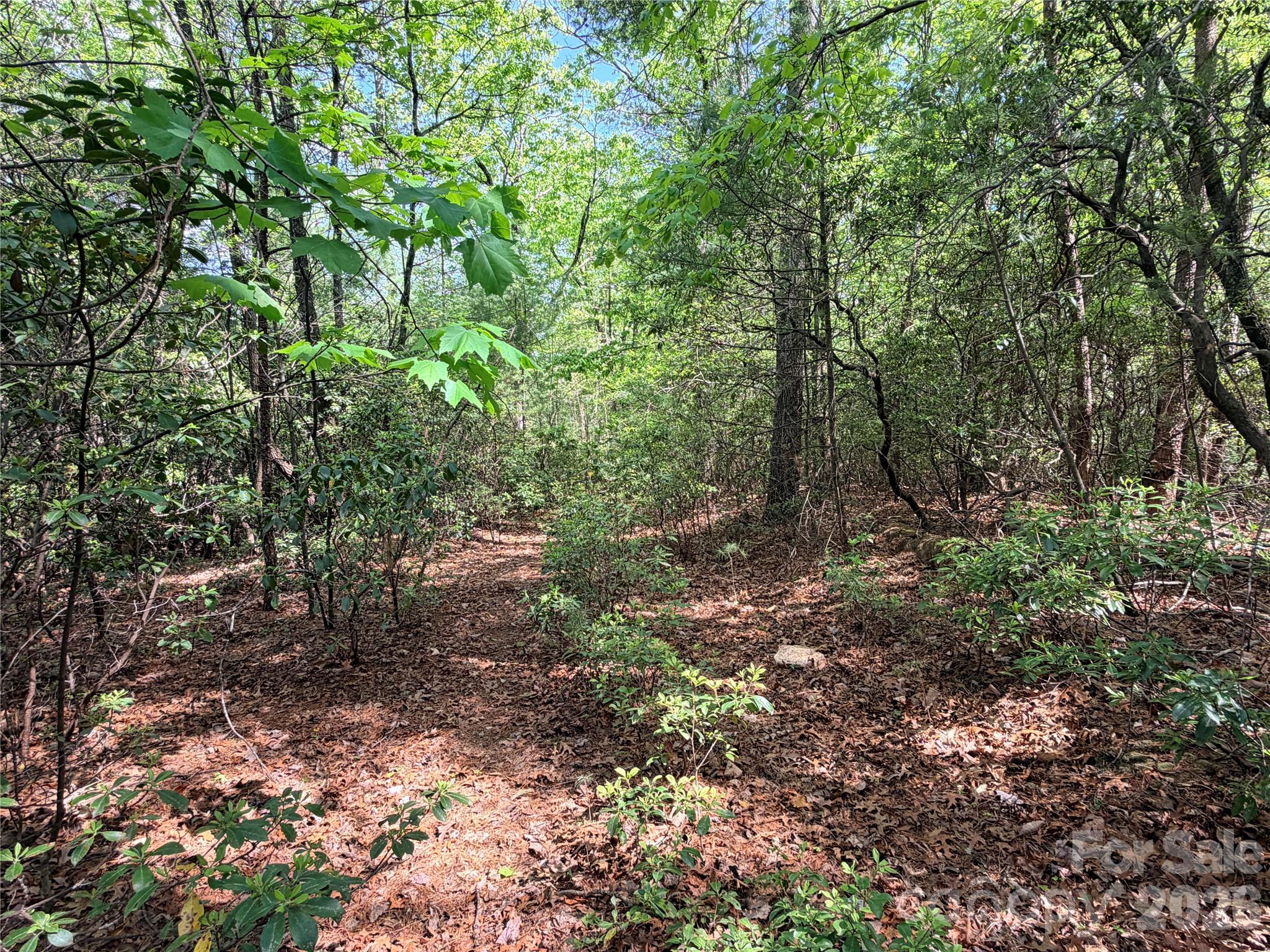 Tbd Staghorn Road Purlear NC 28665