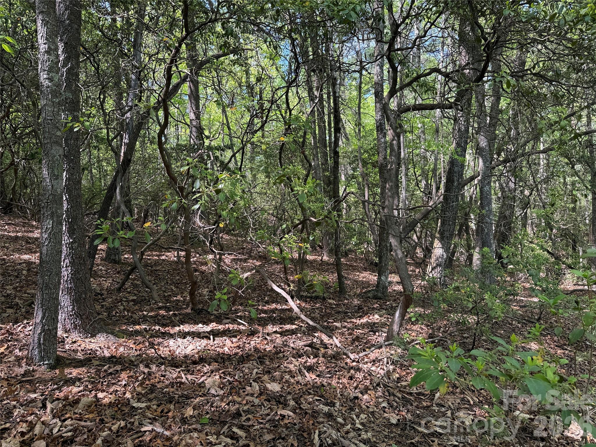 Tbd Staghorn Road Purlear NC 28665