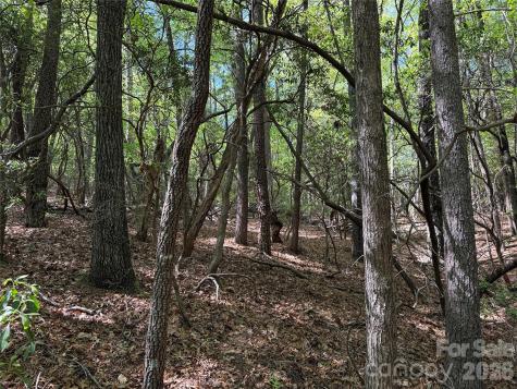 Tbd Staghorn Road Purlear NC 28665