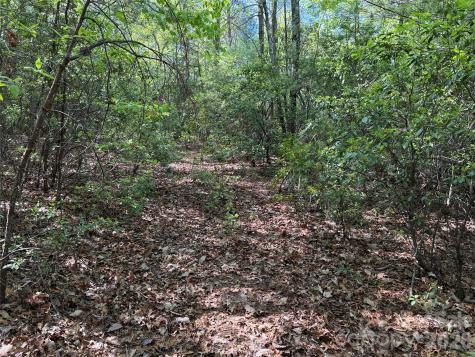Tbd Staghorn Road Purlear NC 28665