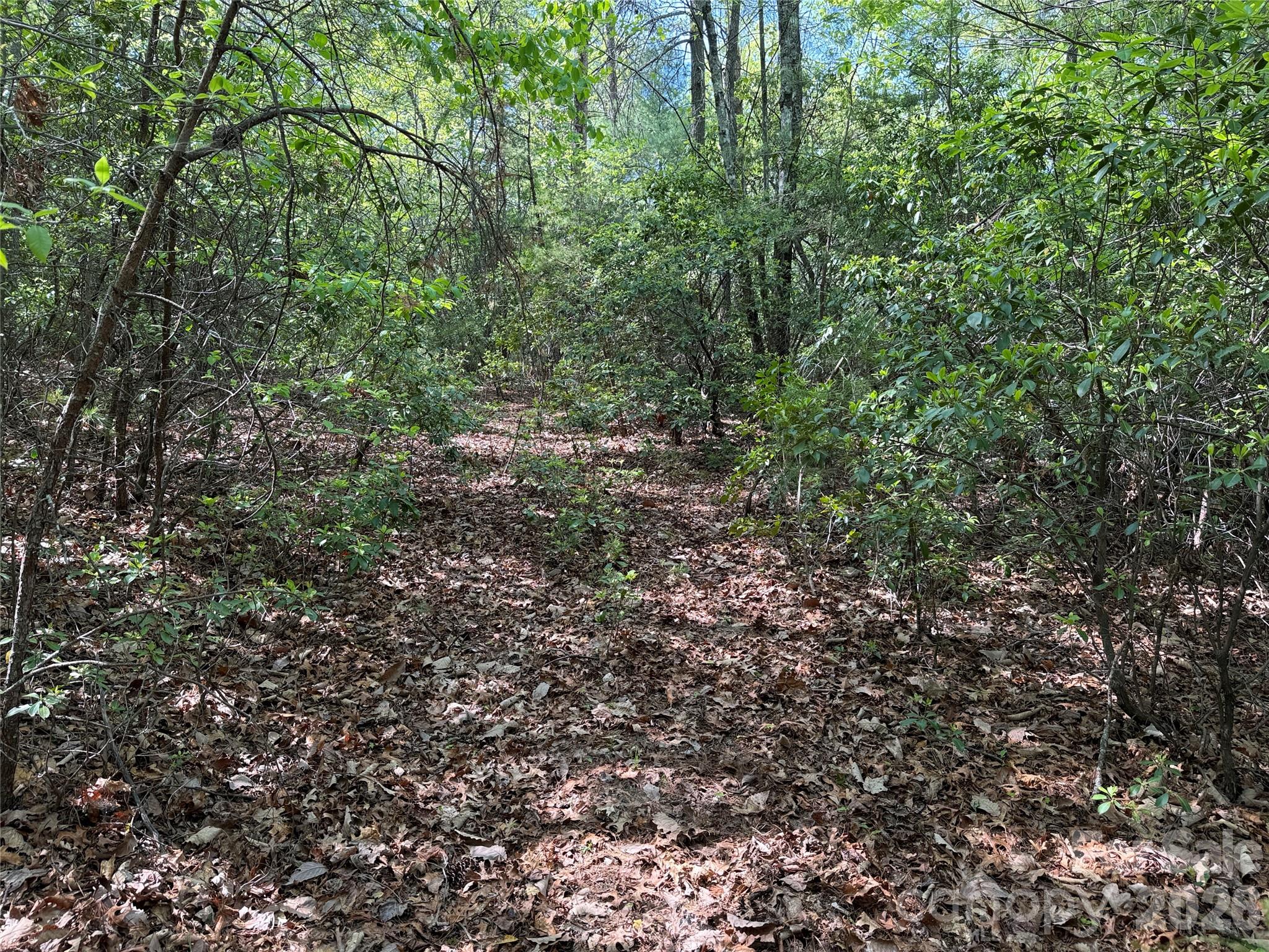 Tbd Staghorn Road Purlear NC 28665