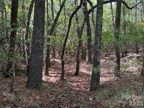 Tbd Staghorn Road Purlear NC 28665