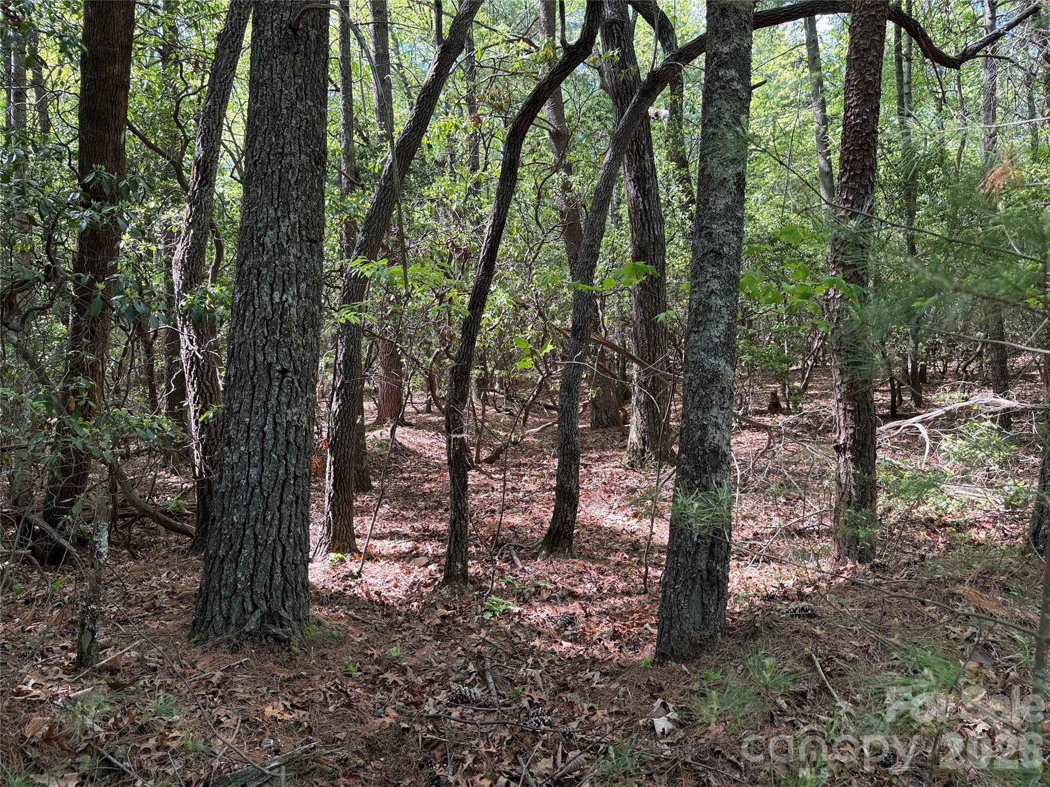 Tbd Staghorn Road Purlear NC 28665